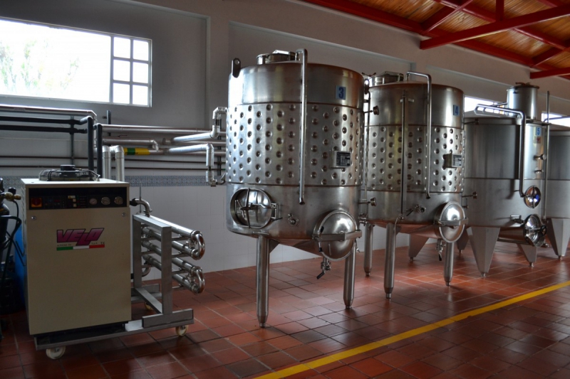 cave-SOSPEL-min_wine_production_cantine_winery_drink_alcohol_vine_beverage-902036